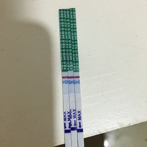 journal_insert_pic_450501564