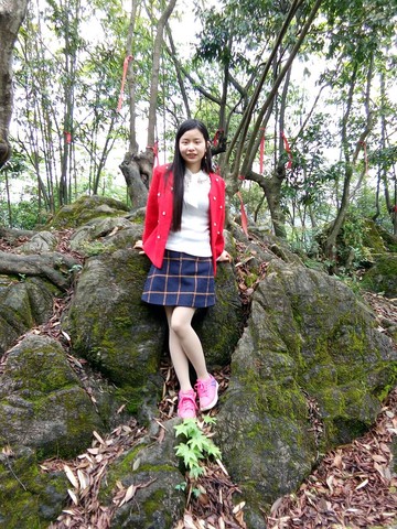 journal_insert_pic_450497502