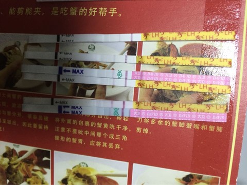 journal_insert_pic_451128370