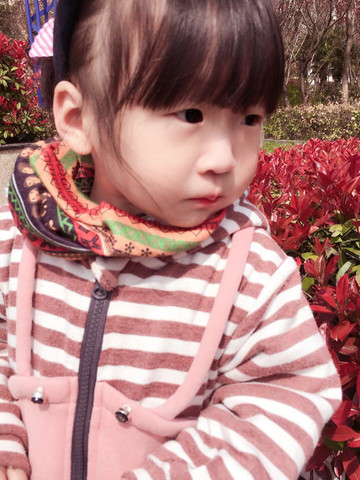 journal_insert_pic_451192992