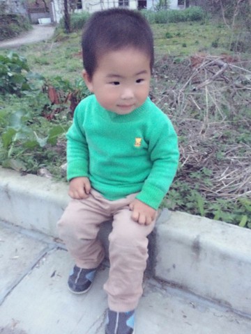 journal_insert_pic_450444293