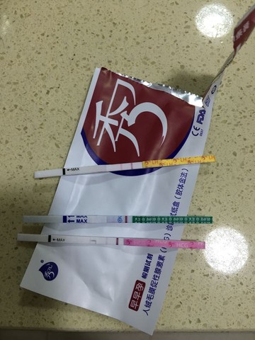 journal_insert_pic_451052144