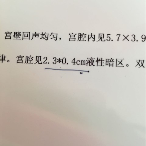 journal_insert_pic_450521031