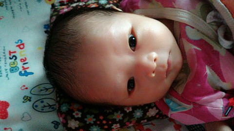 journal_insert_pic_451411376