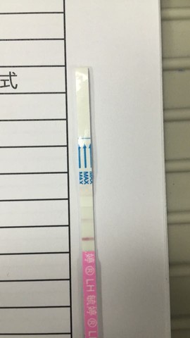 journal_insert_pic_451795983