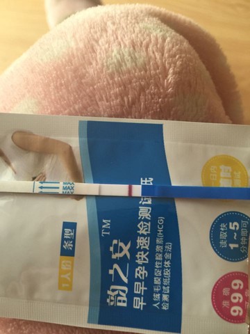 journal_insert_pic_451549455