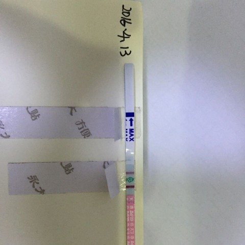 journal_insert_pic_451724305