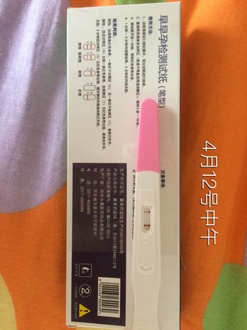 journal_insert_pic_452275401