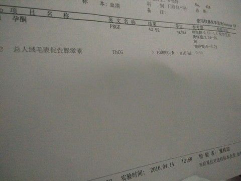journal_insert_pic_452673266