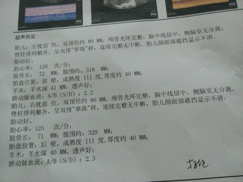 journal_insert_pic_452742661