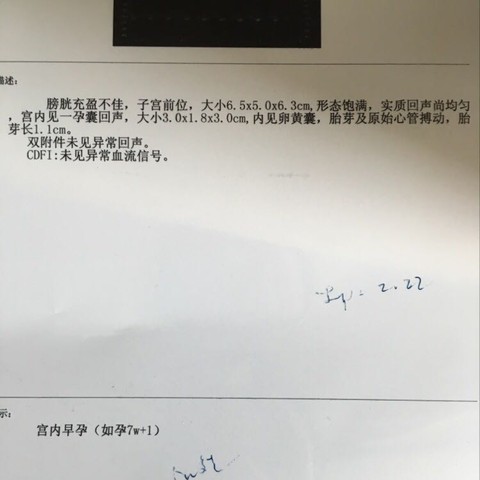 journal_insert_pic_452603907