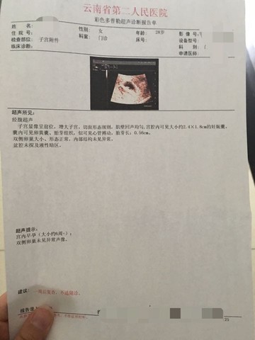 journal_insert_pic_453253335