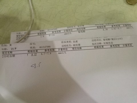 journal_insert_pic_453461867