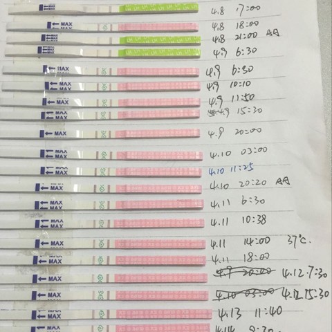 journal_insert_pic_453175022