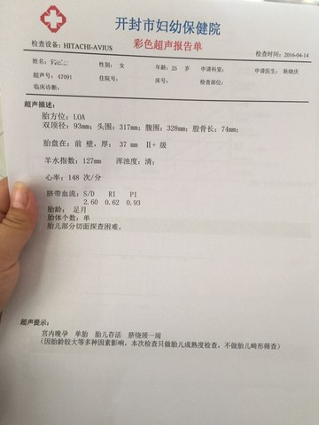 journal_insert_pic_453245003