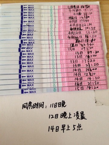 journal_insert_pic_453471503
