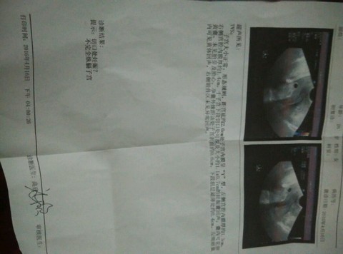 journal_insert_pic_454498797