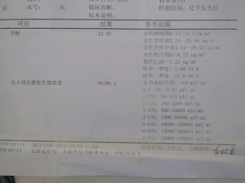 journal_insert_pic_454314880