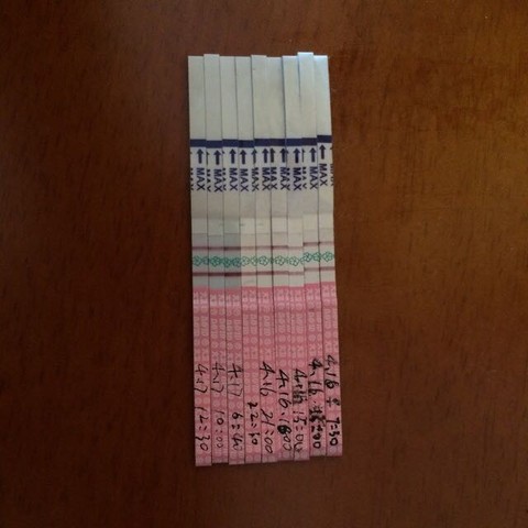 journal_insert_pic_454966215