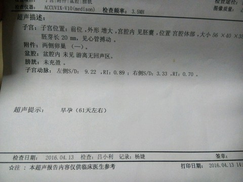 journal_insert_pic_455490560