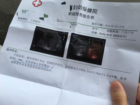 journal_insert_pic_455964815