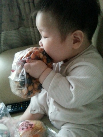 journal_insert_pic_456669055