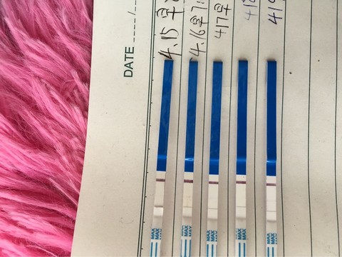 journal_insert_pic_456452623