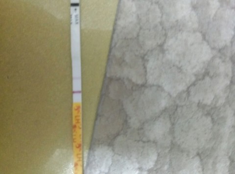 journal_insert_pic_456877169