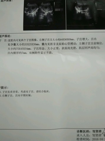 journal_insert_pic_458214817