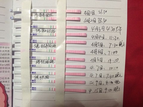 journal_insert_pic_458186226