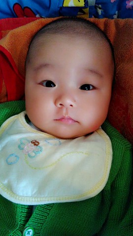 journal_insert_pic_457979417