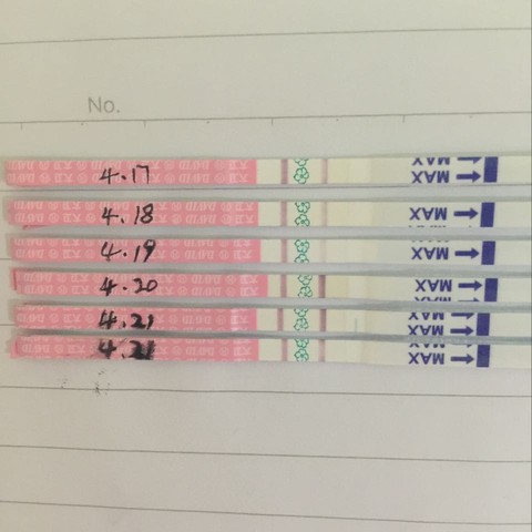 journal_insert_pic_458771484
