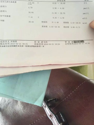 journal_insert_pic_459447024