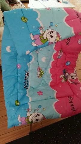 journal_insert_pic_458870788
