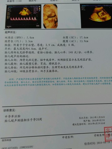journal_insert_pic_460084655