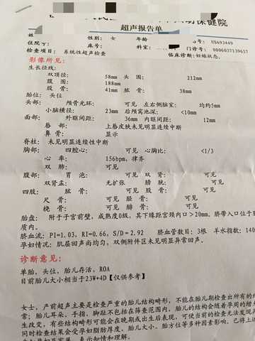 journal_insert_pic_459914410