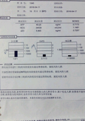 journal_insert_pic_460205337