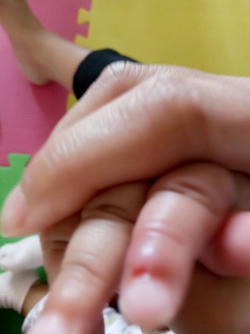 journal_insert_pic_460638204