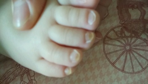 journal_insert_pic_460656131