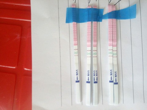 journal_insert_pic_461572749