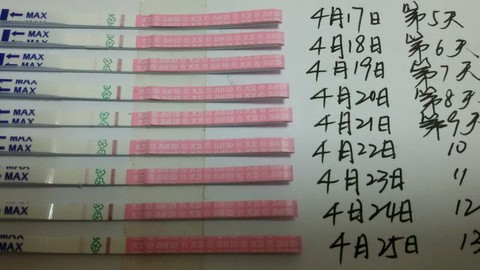 journal_insert_pic_461813808