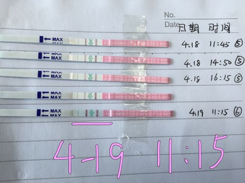 journal_insert_pic_461513731