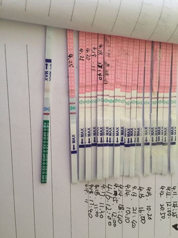journal_insert_pic_461314581