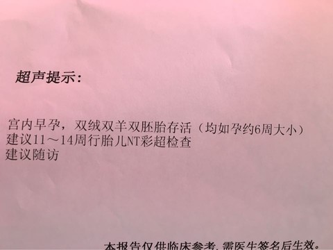 journal_insert_pic_463434299