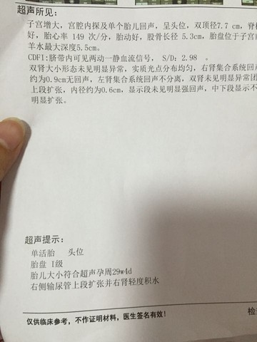 journal_insert_pic_463981456