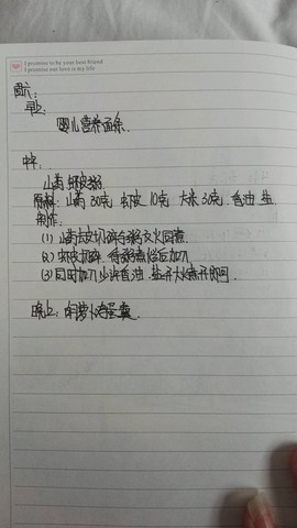 journal_insert_pic_466708061