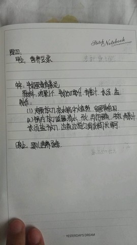 journal_insert_pic_466707908