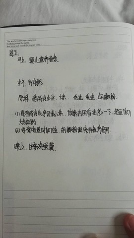 journal_insert_pic_466707999