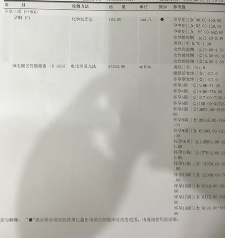 journal_insert_pic_467411401