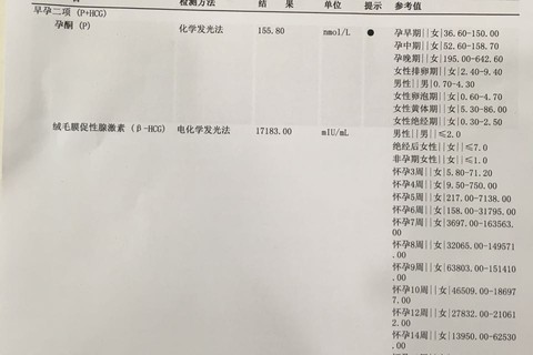 journal_insert_pic_467411388